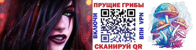 Галлюциногенные грибы Psilocybe  Купить где  Нижневартовск 